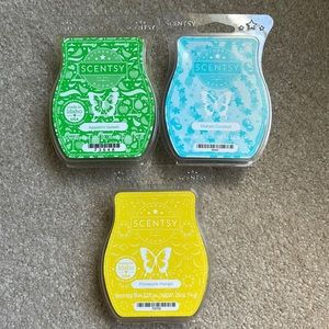 Pack of 3 summer/ fruity Scentsy bars.